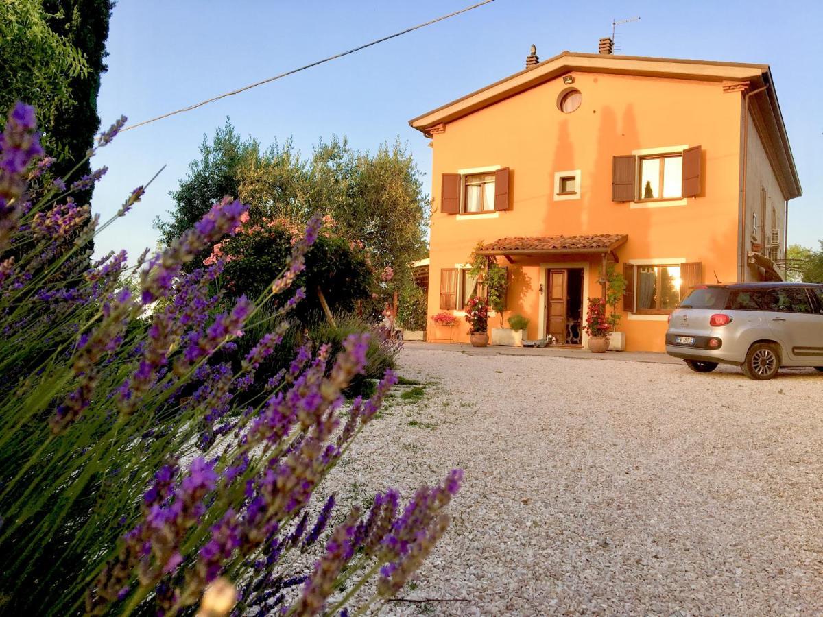 Locanda Della Lavanda Сан-Клементе Экстерьер фото